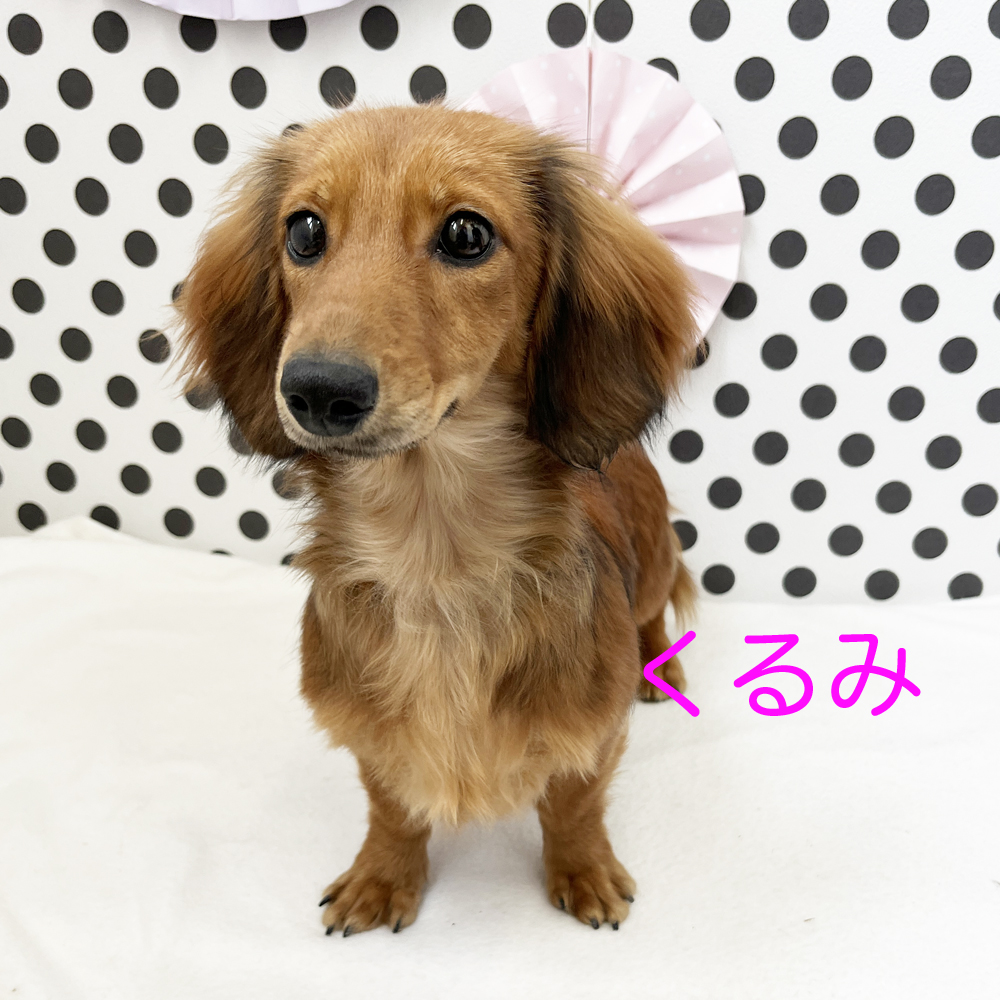 ５月・６月で１歳になりました♪
